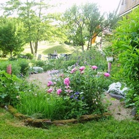 Pension Sonne Rickenbach  Екстер'єр фото
