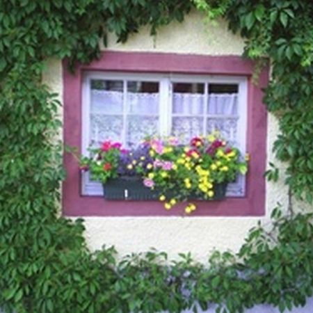 Pension Sonne Rickenbach  Екстер'єр фото