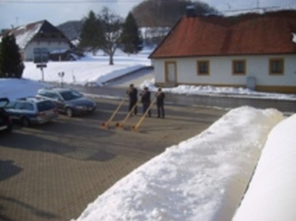 Pension Sonne Rickenbach  Екстер'єр фото