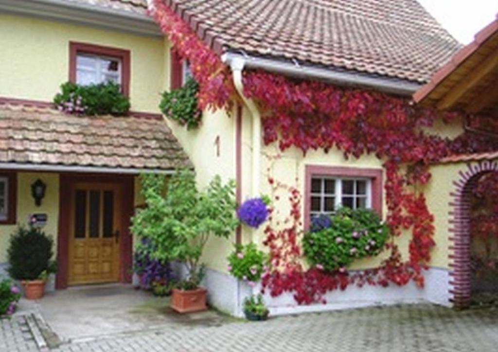 Pension Sonne Rickenbach  Екстер'єр фото