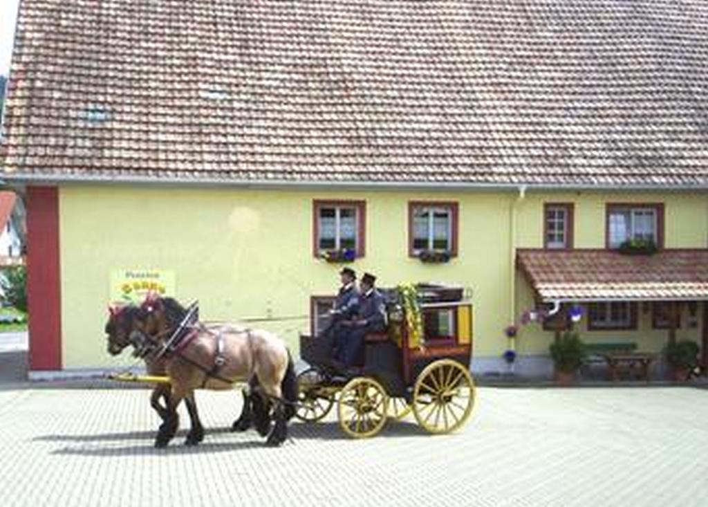 Pension Sonne Rickenbach  Екстер'єр фото