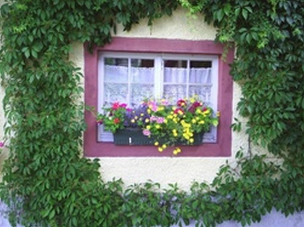 Pension Sonne Rickenbach  Екстер'єр фото